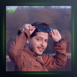 آهنگ جنگه جنگه از امیر چیتگر