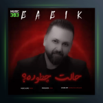 آهنگ حالت چطوره از بابیک