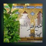 آهنگ حج فقرا از محسن میرزازاده