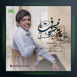 آهنگ حرفی نیست از امیر شرقی