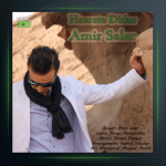 آهنگ حسرت دیدار از امیر سالار