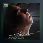 آهنگ حماقت از دانیال شهرتی