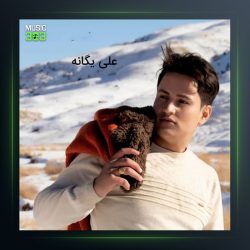 آهنگ خواب و خیال از علی یگانه
