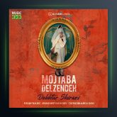 آهنگ دختر شیرازی از مجتبی دل زنده