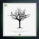 آهنگ درخت از شهاب عباسی