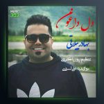 آهنگ دل آروم از بهادر ییلاقی