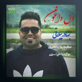 آهنگ دل آروم از بهادر ییلاقی