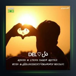 آهنگ دل از حامد شیخ