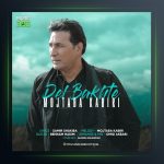 آهنگ دل باخته از مجتبی کبیری