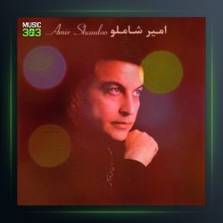 آهنگ دل تو از امیر شاملو