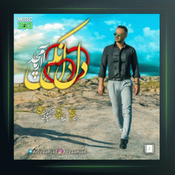 آهنگ دل دل نکن از آریا امجد