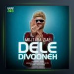 آهنگ دل دیوونه از مجتبی ضیایی