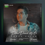 آهنگ دلبر دیونه از بابک اعلم