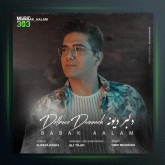 آهنگ دلبر دیونه از بابک اعلم