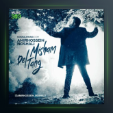 آهنگ دلتنگ میشم از امیرحسین نوشالی