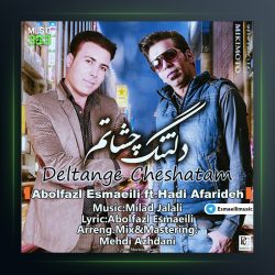 آهنگ دلتنگ چشاتم از ابوالفضل اسماعیلی و هادی آفریده