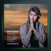 آهنگ دلتنگی از امیر ثالثی