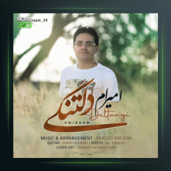 دانلود آهنگ دلتنگی از امیرام