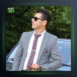 آهنگ دلتنگی از هادی رحیمی