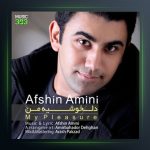 آهنگ دلخوشی من از افشین امینی