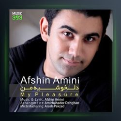 آهنگ دلخوشی من از افشین امینی