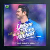 آهنگ دلم تورو میخواد از امیر عباس حسن زاده