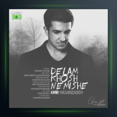 آهنگ دلم خوش نمیشه از امیر عباس حسن زاده