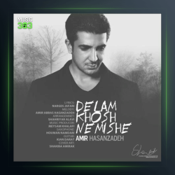 آهنگ دلم خوش نمیشه از امیر عباس حسن زاده