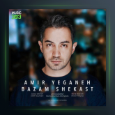 آهنگ دلم شکست از امیر یگانه