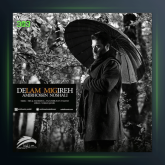 آهنگ دلم گرفته از امیرحسین نوشالی