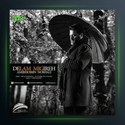 آهنگ دلم گرفته از امیرحسین نوشالی