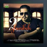 آهنگ دو غریبه از امید شیرازی