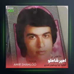 آهنگ دو همزاد از امیر شاملو