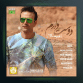 آهنگ دوست دارم از امیر سالار