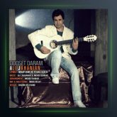 آهنگ دوست دارم از علی جهانیان