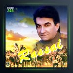 آهنگ دیدی از امیر رسایی