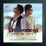 آهنگ دیوونگی از امین و امید