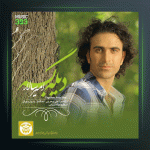 آهنگ دیگه بسه از امیر سالار