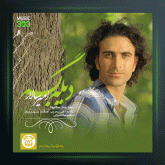 آهنگ دیگه بسه از امیر سالار