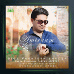 آهنگ دیگه وقتش شده از امیرام