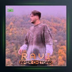 آهنگ راوی از امیر چیتگر
