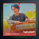 آهنگ ریمیکس گل سیب از احسان شیدا