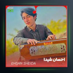 آهنگ ریمیکس گل سیب از احسان شیدا