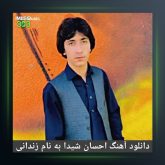 آهنگ زندانی از احسان شیدا