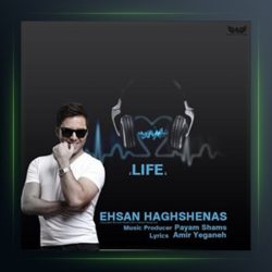 آهنگ زندگی از احسان حق شناس