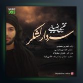 آهنگ سردار لشکر از مجتبی ضیایی