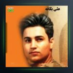 آهنگ سیسه بوز از علی یگانه