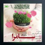 آهنگ سین مثل سامرا از حسین حقیقی