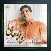 آهنگ شادی های ما از مجتبی دل زنده