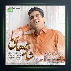 آهنگ شادی های ما از مجتبی دل زنده